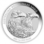 Preview: Australien - Wedge Tailed Eagle 2026 - 1 Oz Silber  ( Kein Internetverkauf -  nur Ladenverkauf)