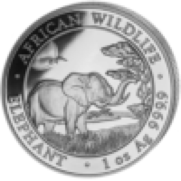 1 Unze Silber Elefant 2019  ( kein Internetverkauf ) nur Ladenverkauf